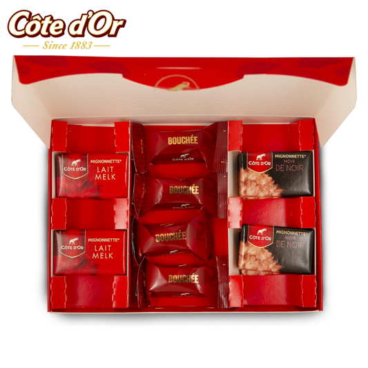 MINONETTESBOCHEES